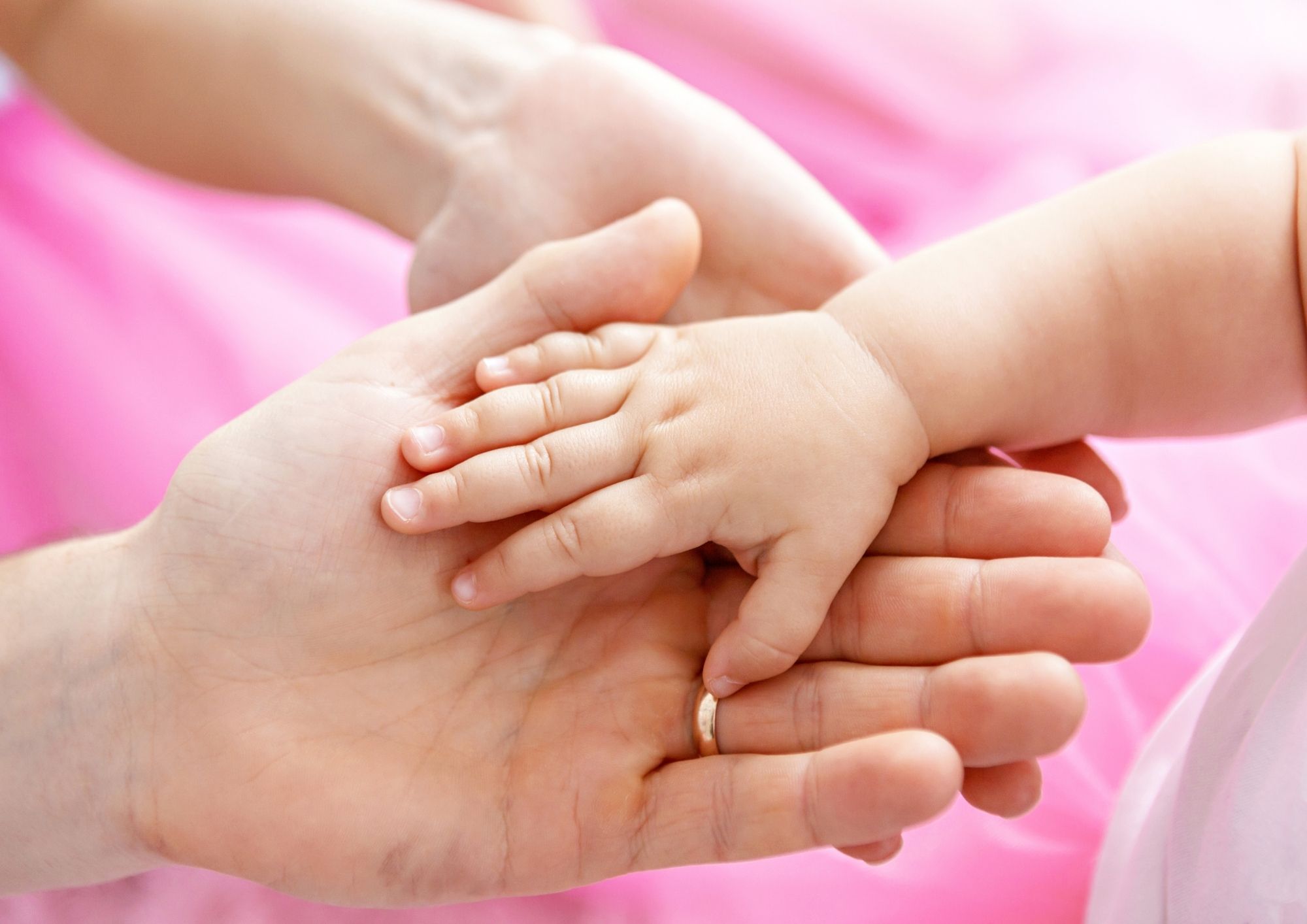 Celebra San José con comida familiar