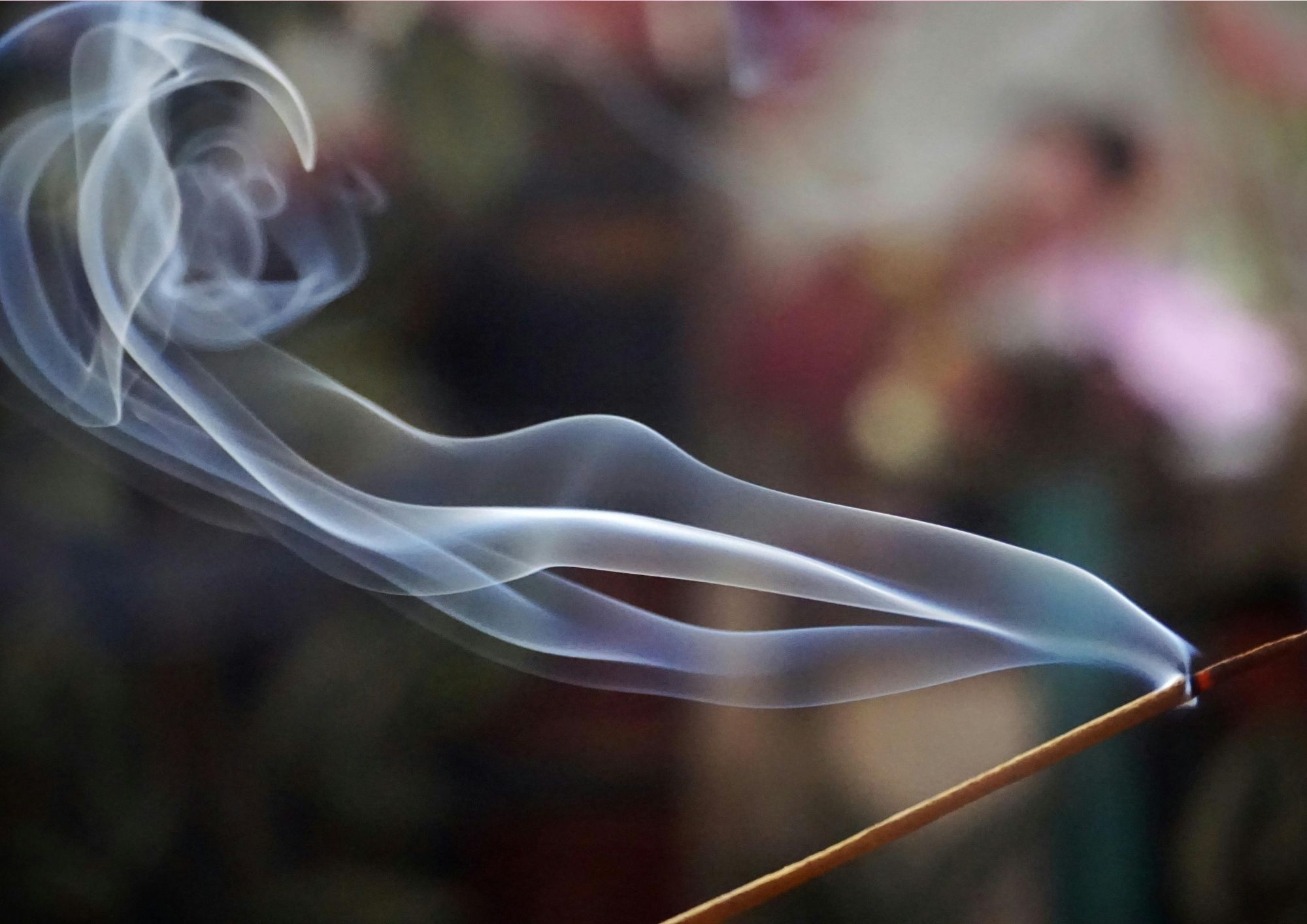 Programación Semana Santa en Madrid 2026